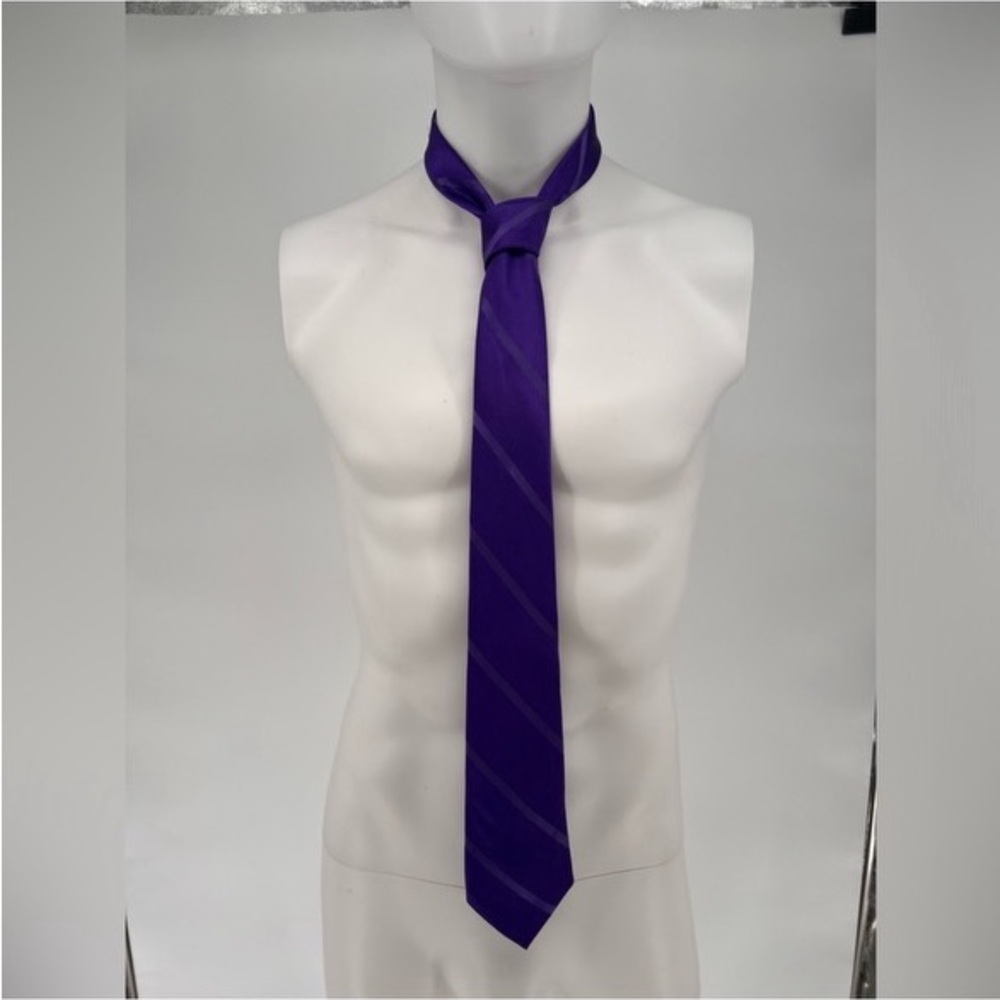 EUC Express Diagonal Striped Tie - Picture 2 of 7